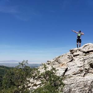 Meet your Posher, Parker